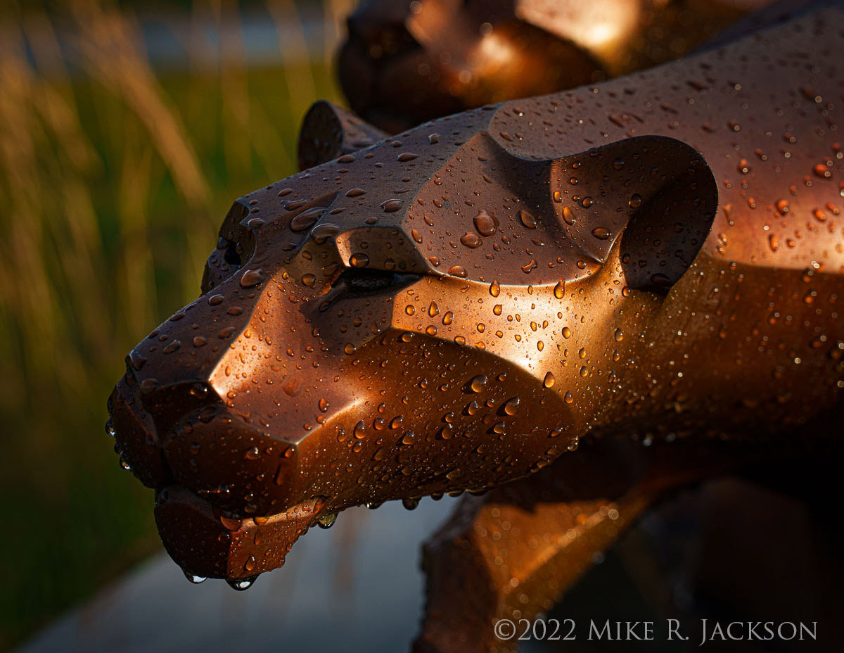 Benson Sculpture Garden Up Close Mike Jackson Photography