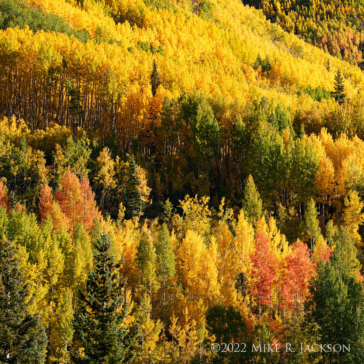 Fall on the Million Dollar Highway - Mike Jackson Photography